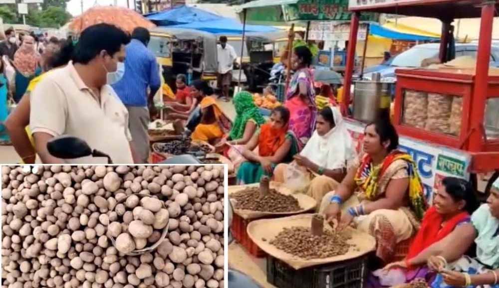 सबसे महंगी सब्जियों में शुमार छत्तीसगढ़ में रोड पर बिक रहा बोड़ा सबसे महंगी सब्जियों में शुमार छत्तीसगढ़ में रोड पर बिक रहा बोड़ा