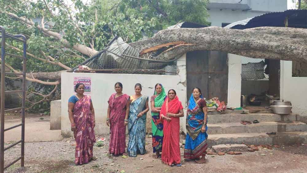 स्कूल के किचन शेड पर गिरा पीपल का पेड़, टला बड़ा हादसा स्कूल के किचन शेड पर गिरा पीपल का पेड़, टला बड़ा हादसा