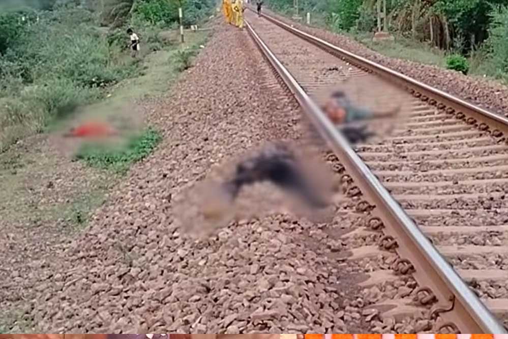 बालोद जिले में झारखंड से काम की तलाश में दल्लीराजहरा पहुंचे 2 मजदूरों की ट्रेन से कटकर मौत बालोद जिले में झारखंड से काम की तलाश में दल्लीराजहरा पहुंचे 2 मजदूरों की ट्रेन से कटकर मौत