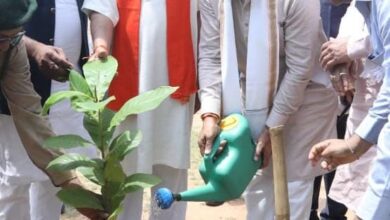 CG NEWS: विश्व पर्यावरण दिवस पर ‘एक पेड़ मां के नाम’ अभियान के तहत सीएम साय ने बादाम पौधा का किया पौधरोपण…