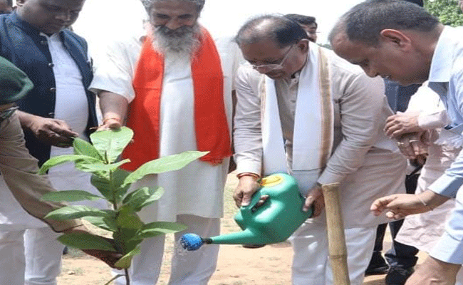 मुख्यमंत्री श्री साय ने बादाम का पौधा लगाया मुख्यमंत्री श्री साय ने बादाम का पौधा लगाया