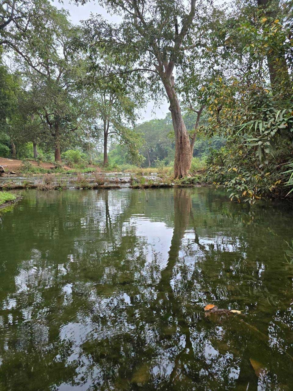 बारिश में बस्तर के प्राकृतिक सौंदर्य का अनुपम नजारा बारिश में बस्तर के प्राकृतिक सौंदर्य का अनुपम नजारा