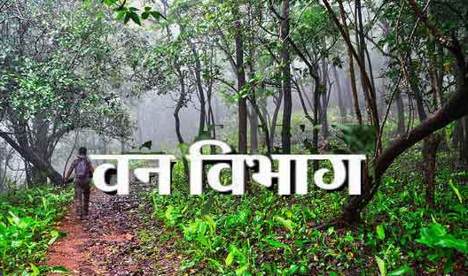 CG News- वन अधिकारों की मान्यता में अग्रणी छत्तीसगढ़ : व्यक्तिगत और सामुदायिक अधिकारों के वितरण में निभा रहा सराहनीय भूमिका….