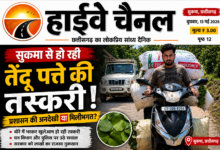छत्तीसगढ़ में तेन्दूपत्ता खरीदी का सरकारी सिस्टम हुआ फेल