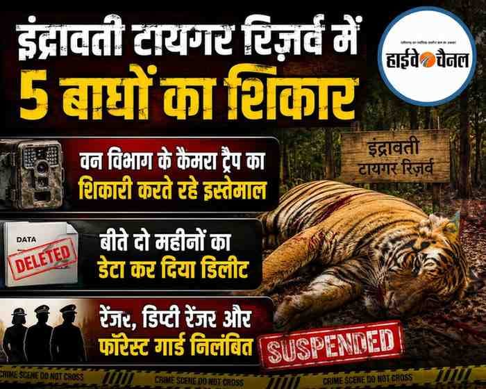 टायगर विहीन हुआ इंद्रावती टायगर रिज़र्व , दो महीनों में पांच बाघों का क़त्ल, ट्रैप कैमरों से दो महीनों का डेटा गायब
